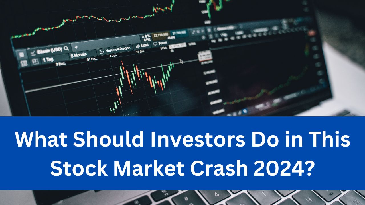 What Should Investors Do in This Stock Market Crash 2024?